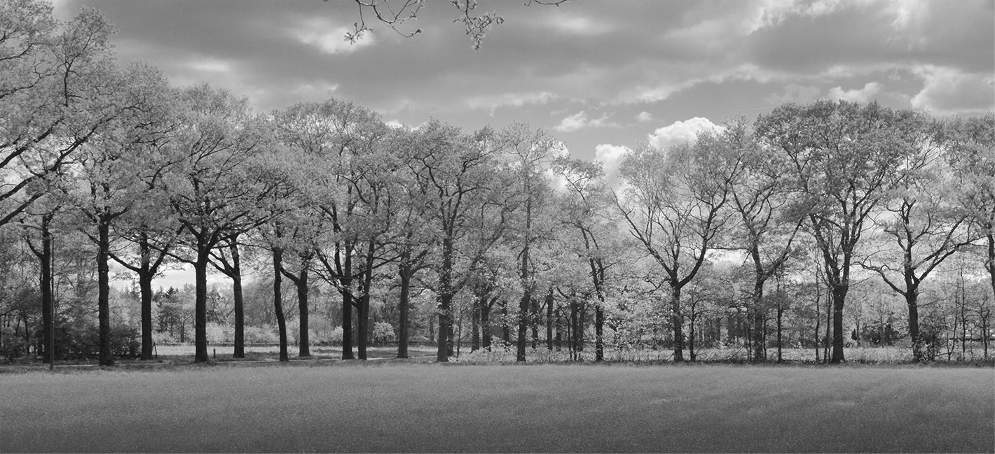 Molenheide